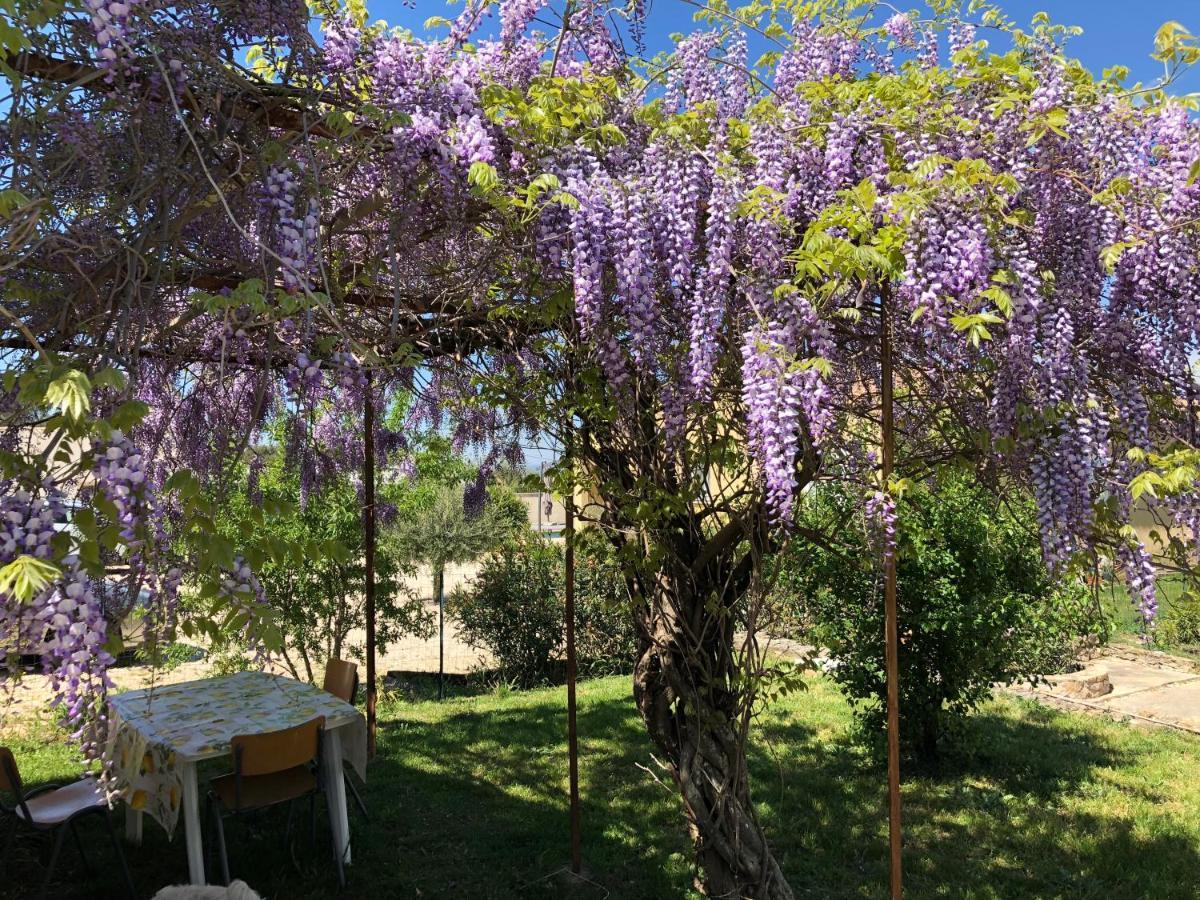 Gite Climatise Avec Piscine Sur Les Hauteurs De Bollène מראה חיצוני תמונה