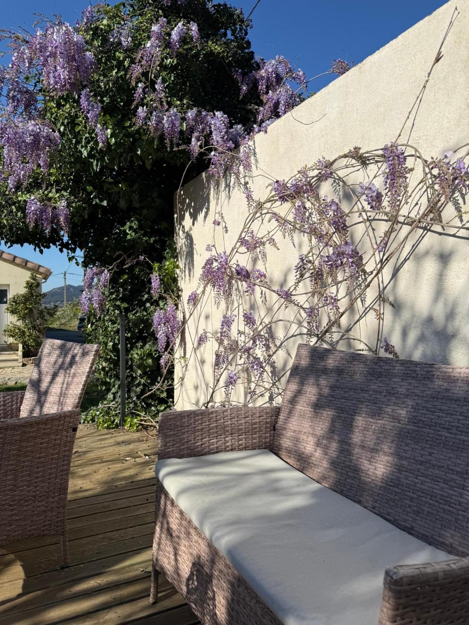 Gite Climatise Avec Piscine Sur Les Hauteurs De Bollène מראה חיצוני תמונה